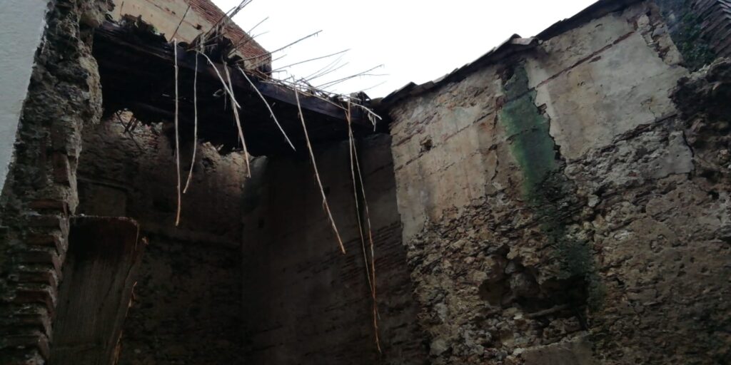 crollo salice