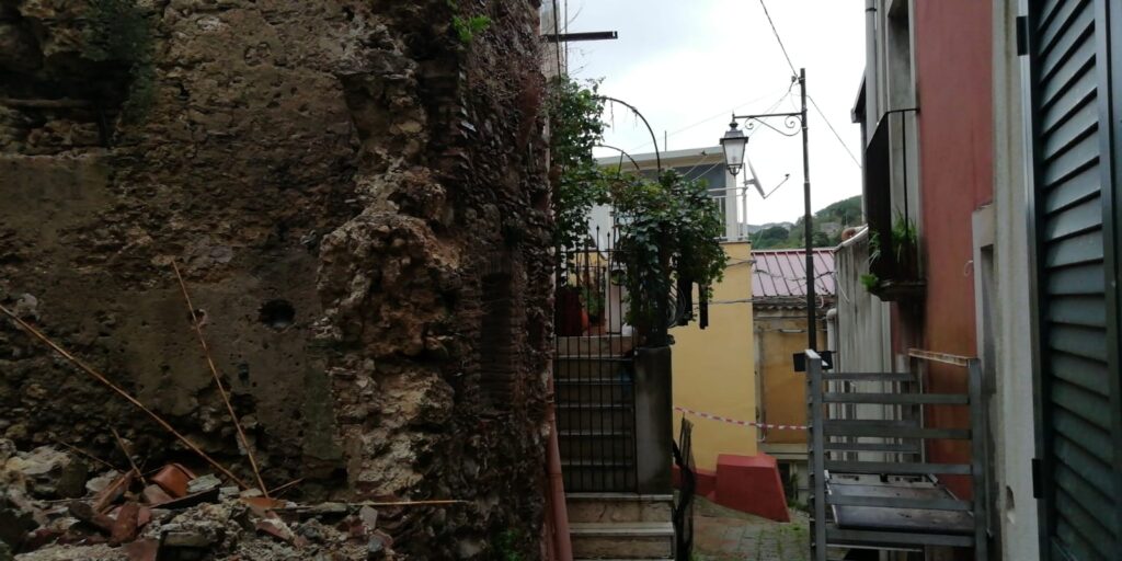 crollo salice